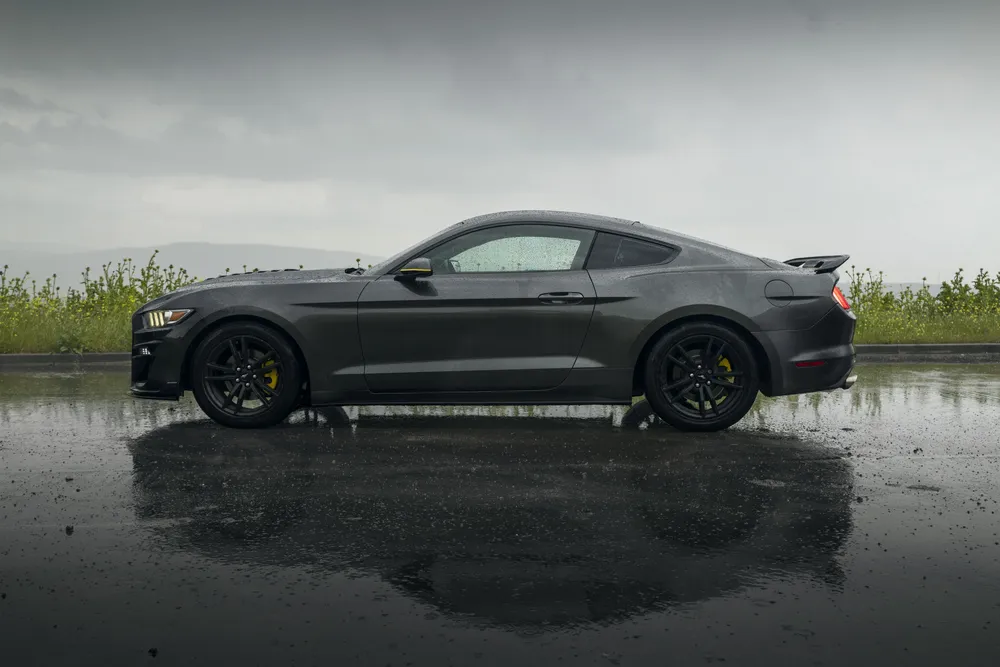 Ford Mustang Shelby photo 6