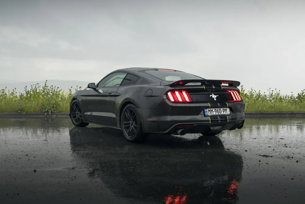 Ford Mustang Shelby photo 2