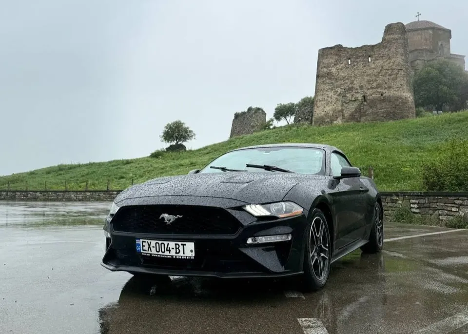 Ford Mustang photo 2