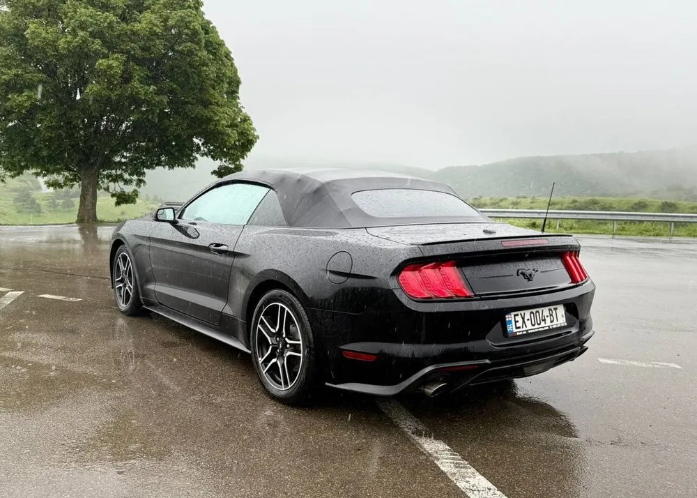 Ford Mustang photo 3