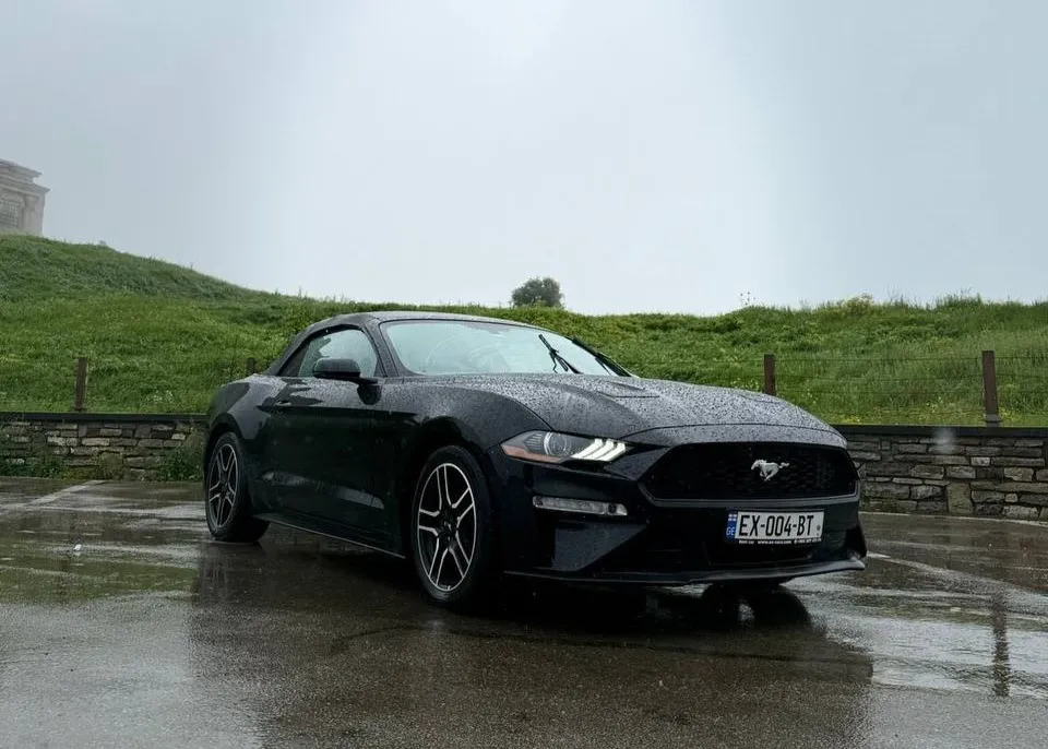 Ford Mustang photo 4